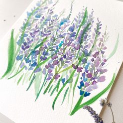 Lavender Watercolor
